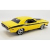 1971 DODGE CHALLENGER TRANS AM STREET FIGHTER - CHICAYNE 1971 DODGE CHALLENGER TRANS AM STREET FIGHTER - CHICAYNE