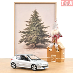 ماکت ماشین پژو Peugeot 206...